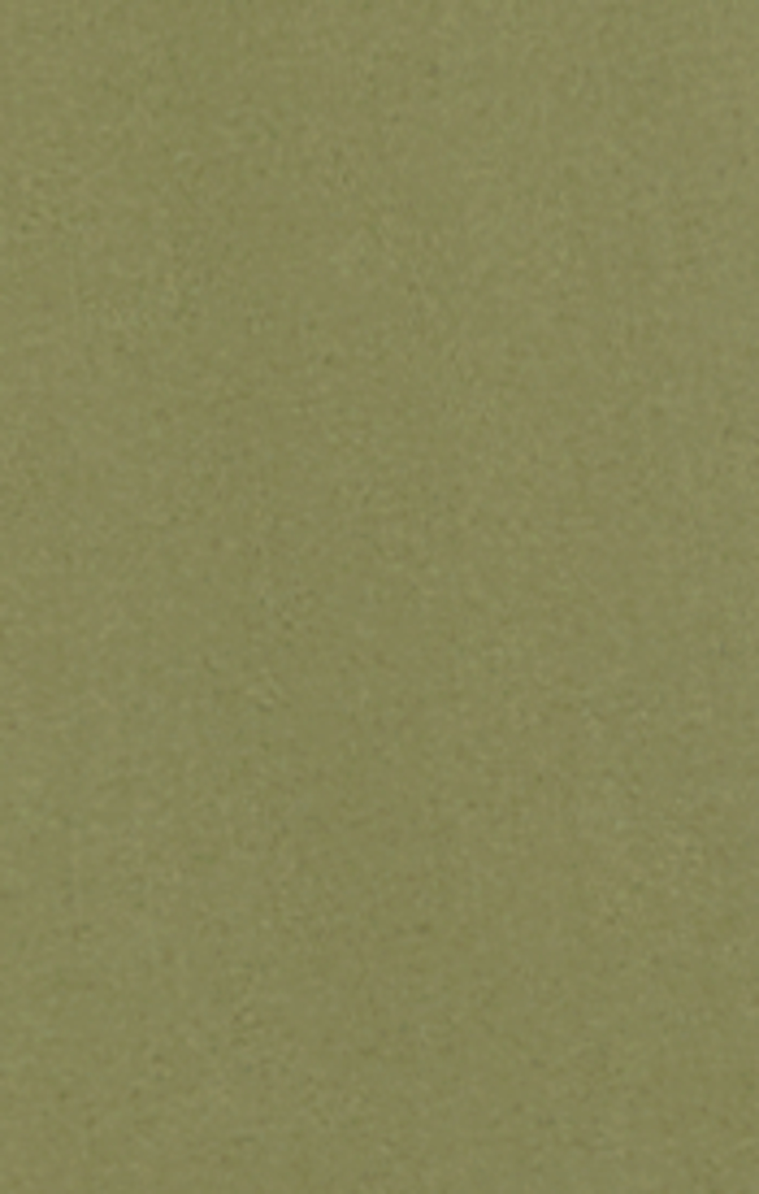 Winter Moss - Green