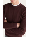 Men's Regular Fit Crewneck Sweater